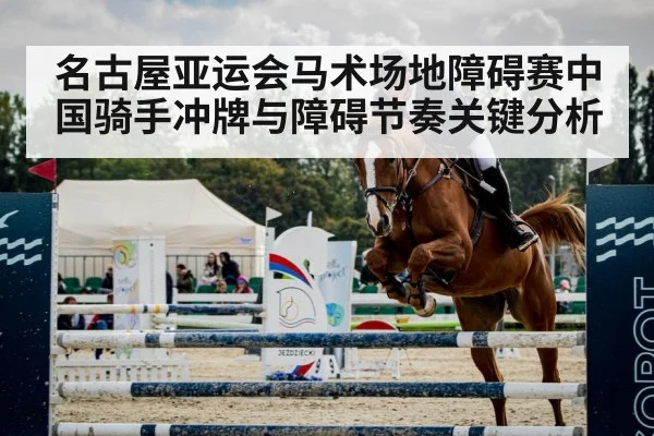 equestrian show jumping horse